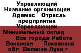 Управляющий › Название организации ­ Адамас › Отрасль предприятия ­ Управляющий › Минимальный оклад ­ 40 000 - Все города Работа » Вакансии   . Псковская обл.,Великие Луки г.